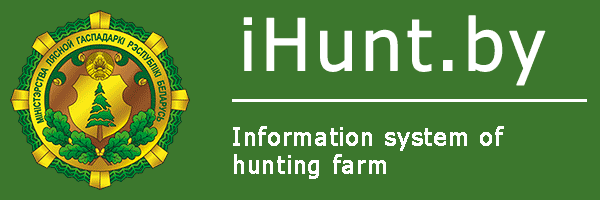 iHunt.by