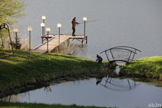 #сафариальфарадио