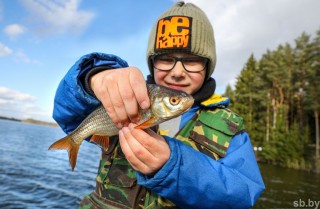 #сафариальфарадио