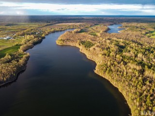 #сафариальфарадио