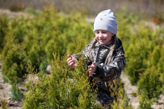 #сафариальфарадио