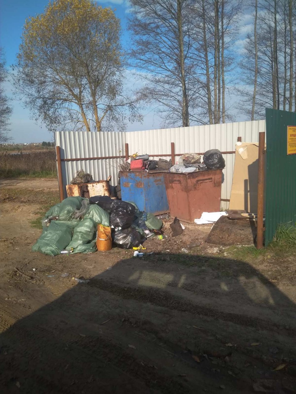 участники акции Чистый лес