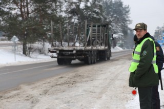 лесная охрана в период новогодних праздников